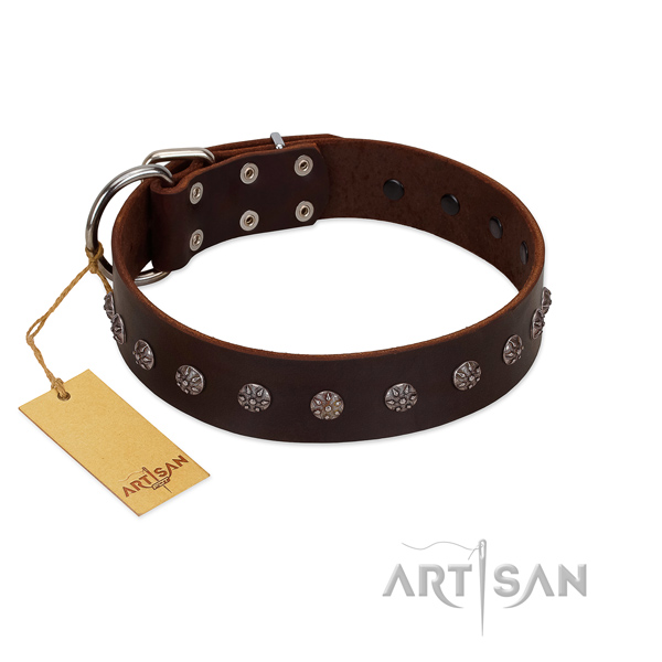Fancy walking genuine leather dog collar with unusual adornments