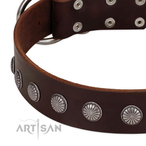 Soft leather dog collar with embellishments for everyday walking