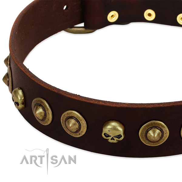 Exquisite studs on full grain leather collar for your dog