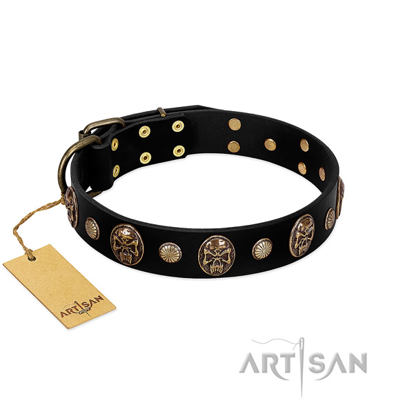 Full grain leather dog collar with reliable adornments