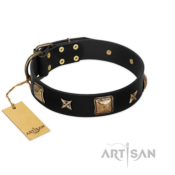 Natural leather dog collar of top rate material with incredible studs