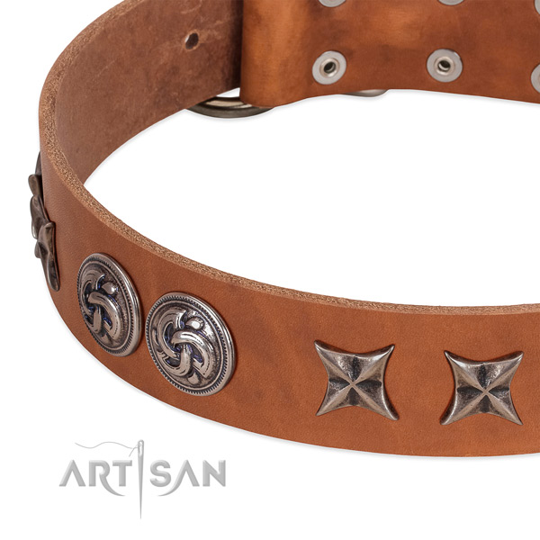 Full grain natural leather collar with significant decorations for your canine