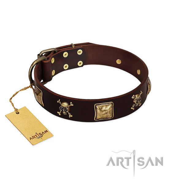 Reliable leather dog collar with top notch embellishments