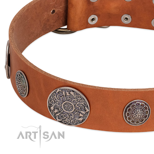 Reliable decorations on full grain natural leather dog collar