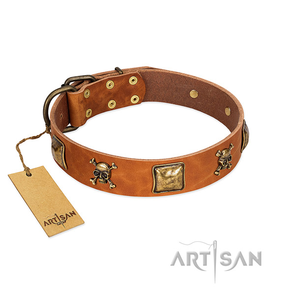 Trendy full grain leather dog collar with rust resistant embellishments