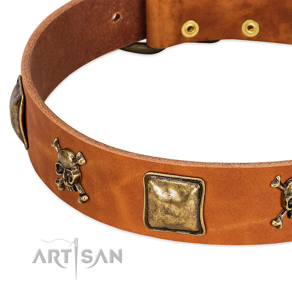 Top notch full grain natural leather dog collar with rust resistant adornments