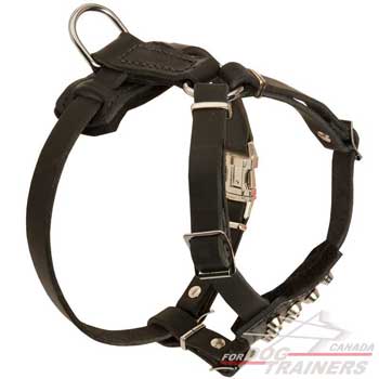Adjustable dog puppies harness for easy fit