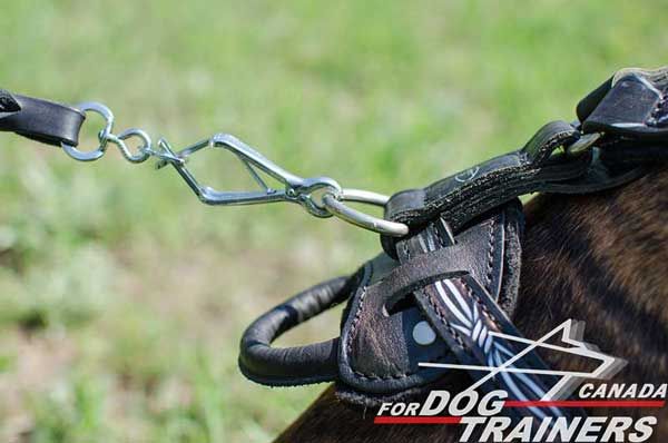 D-Ring on Leather Harness for Boxers