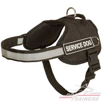 Nylon Dog Harness with ID Patches