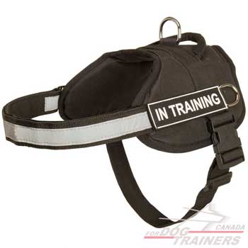 All weather Nylon Dog Harness with Reflective Strap