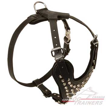 Dog Harness with D-ring and Quick Release Buckle