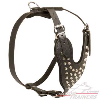 Dog Harness with Studs on Chest Plate