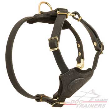 Dog harness for puppies with soft chest plate