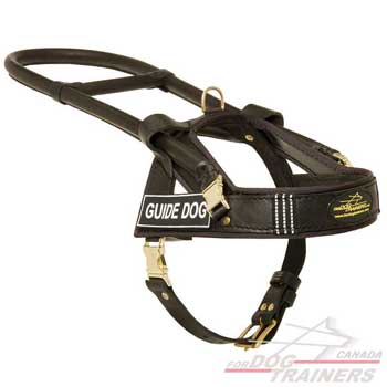  Dog Leather Harness with reflective stripes