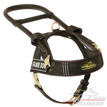 Dog harness leather equipped with removable id velcro patches