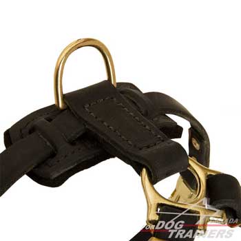 Dog harness with D-ring for on-leash walking
