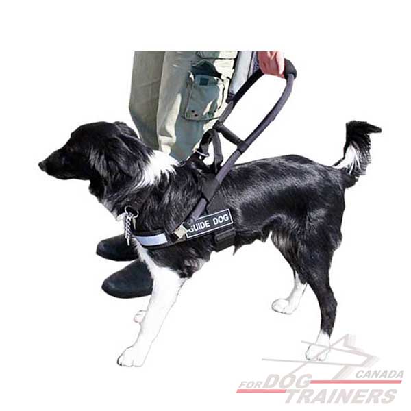 Dog nylon harness for comfortable guiding