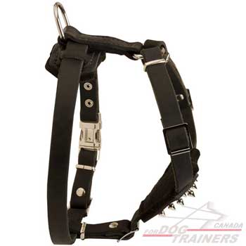 Dog puppies harness with extremely light weight