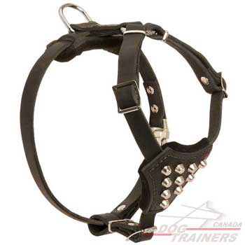 Leather harness for puppy dog