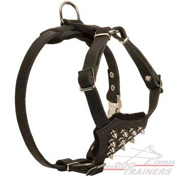 Dog puppies leather harness