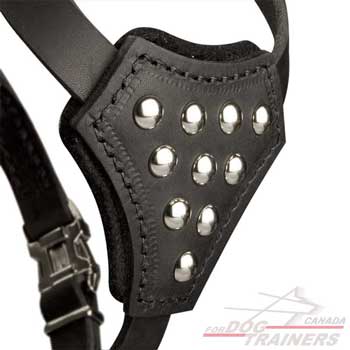 Padded Leather Harness for Puppies