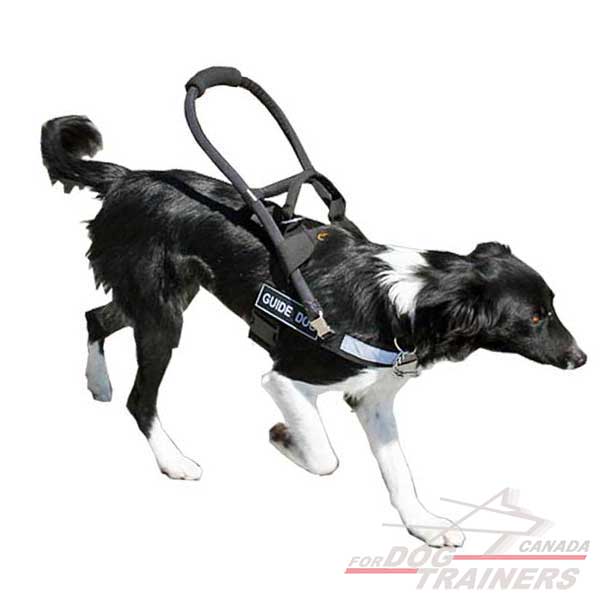 Dog nylon harness with comfortable guiding handle 