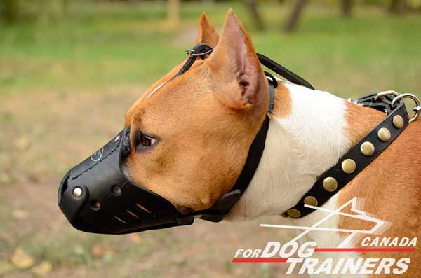 Leather Amstaff muzzle anti-barking breathable