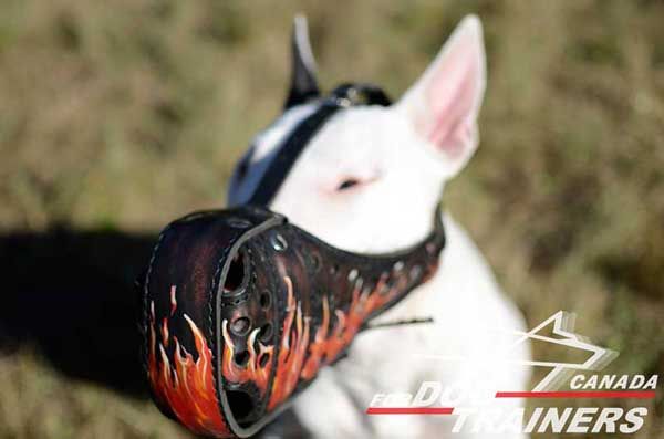 Leather Bull Terrier Muzzle with Painting for Walks