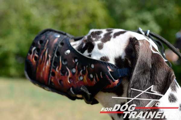 Dalmatin Leather Muzzle Comfortable Adjustable