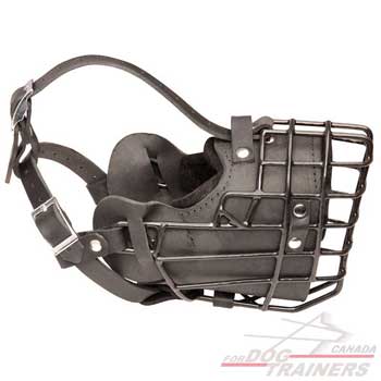 Basket metal dog muzzle for winter wear