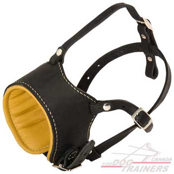 Dog leather muzzle with Nappa padded inside