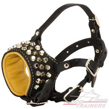 Leather muzzle for dogs anti-barking model for walking in public