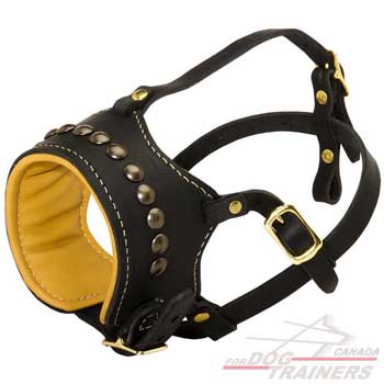 Dog muzzle is adjustable to fit your pet well