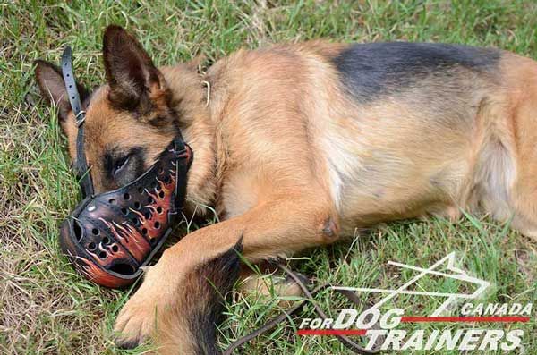 German Shepherd Leather Muzzle with Good Air Circulation