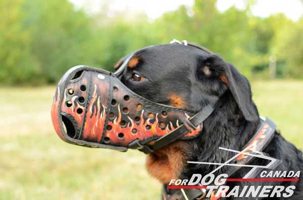 Leather Muzzle for Rottweiler Training