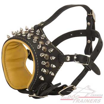 Leather Dog Muzzle with Spikes and Studs